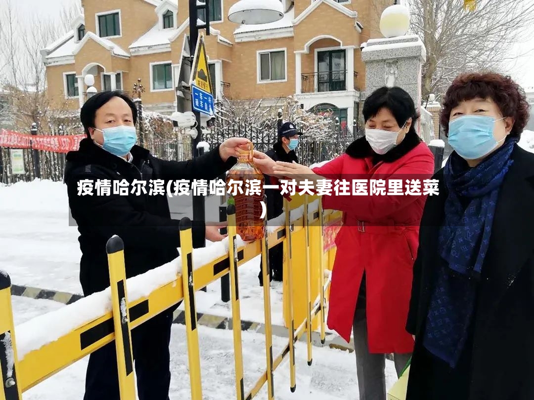 疫情哈尔滨(疫情哈尔滨一对夫妻往医院里送菜)