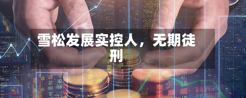 雪松发展实控人	，无期徒刑-第2张图片