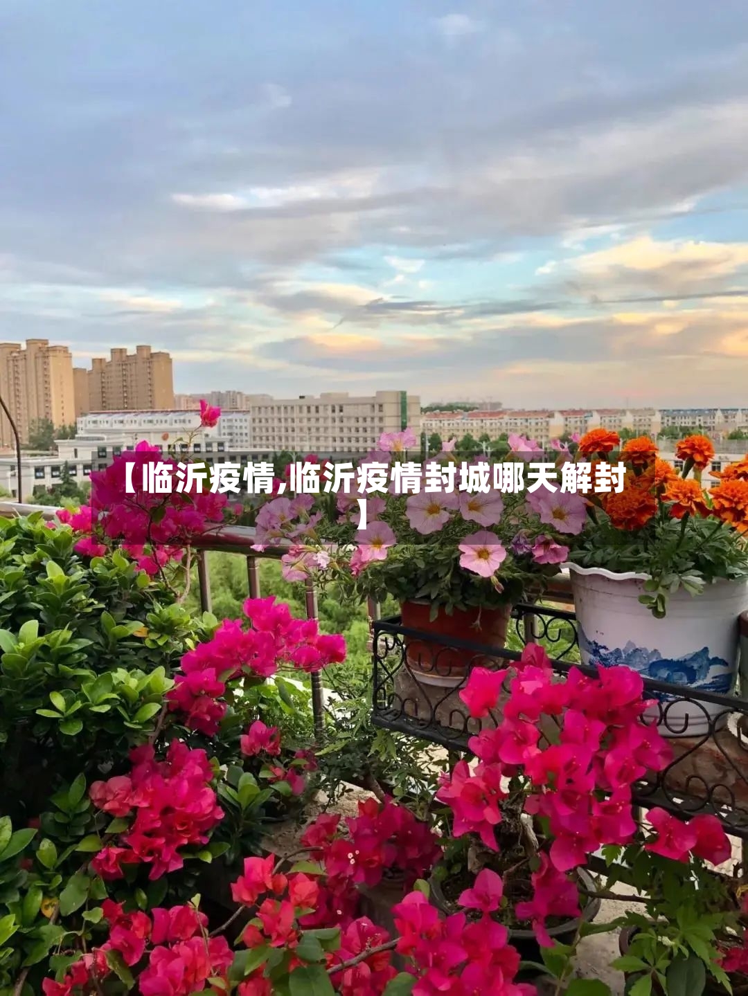 【临沂疫情,临沂疫情封城哪天解封】