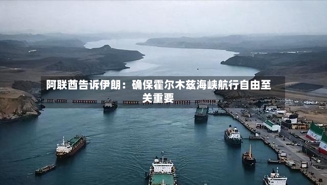 阿联酋告诉伊朗：确保霍尔木兹海峡航行自由至关重要