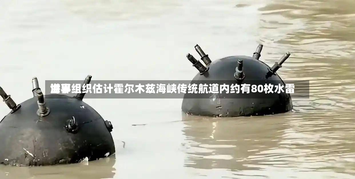 世界海事组织估计霍尔木兹海峡传统航道内约有80枚水雷