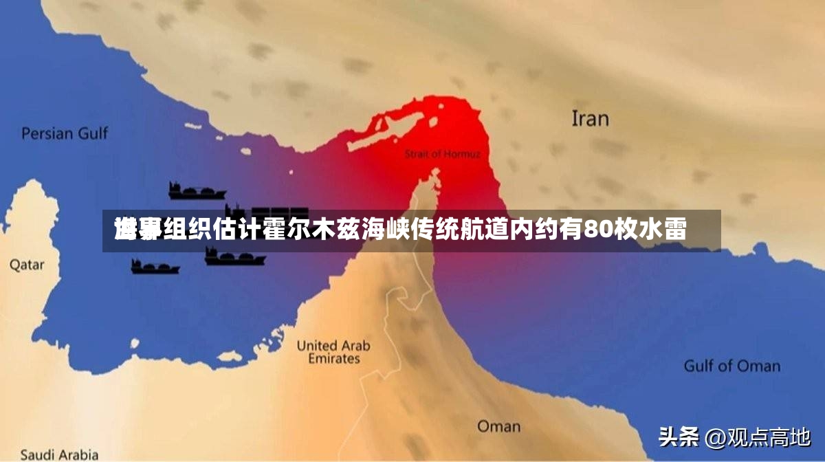 世界海事组织估计霍尔木兹海峡传统航道内约有80枚水雷-第2张图片