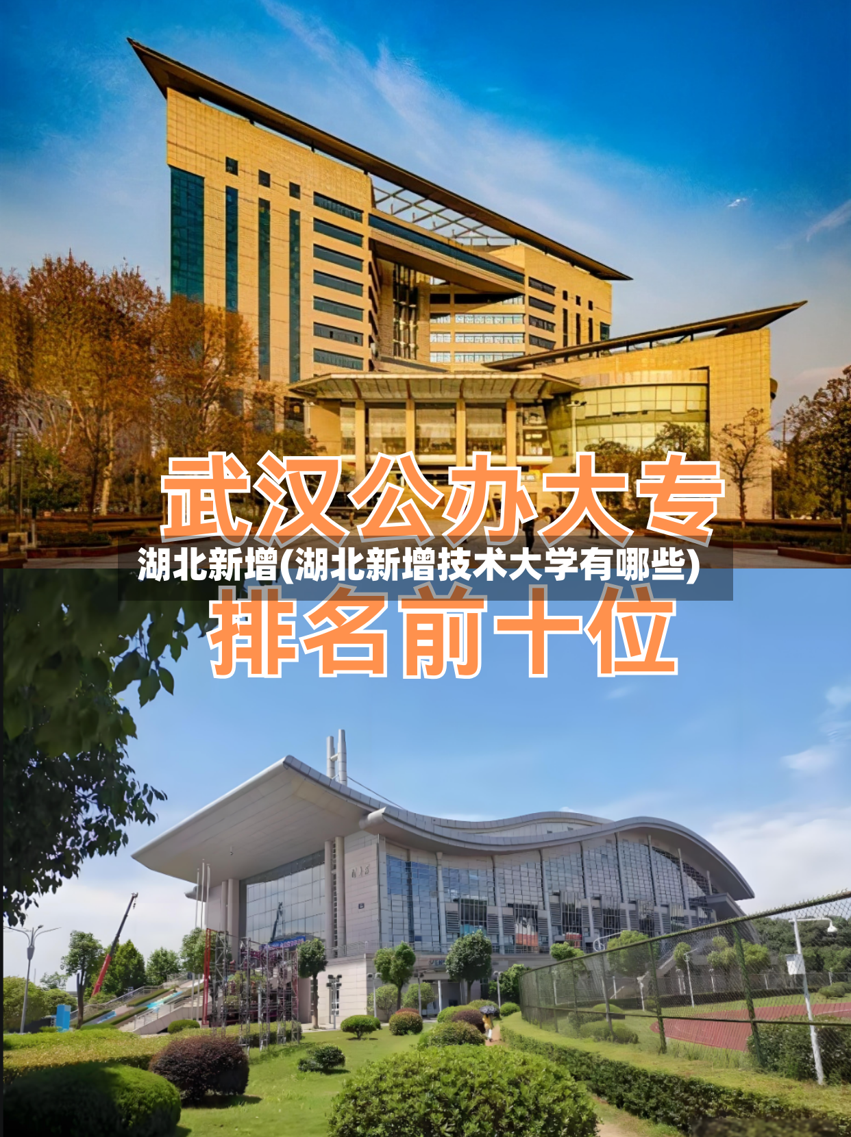 湖北新增(湖北新增技术大学有哪些)