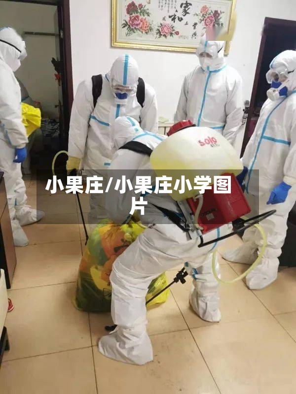 小果庄/小果庄小学图片