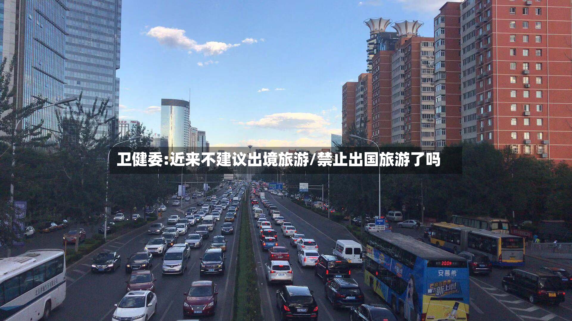 卫健委:近来不建议出境旅游/禁止出国旅游了吗-第3张图片
