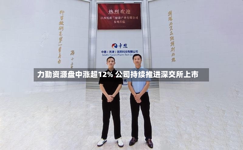 力勤资源盘中涨超12% 公司持续推进深交所上市-第2张图片