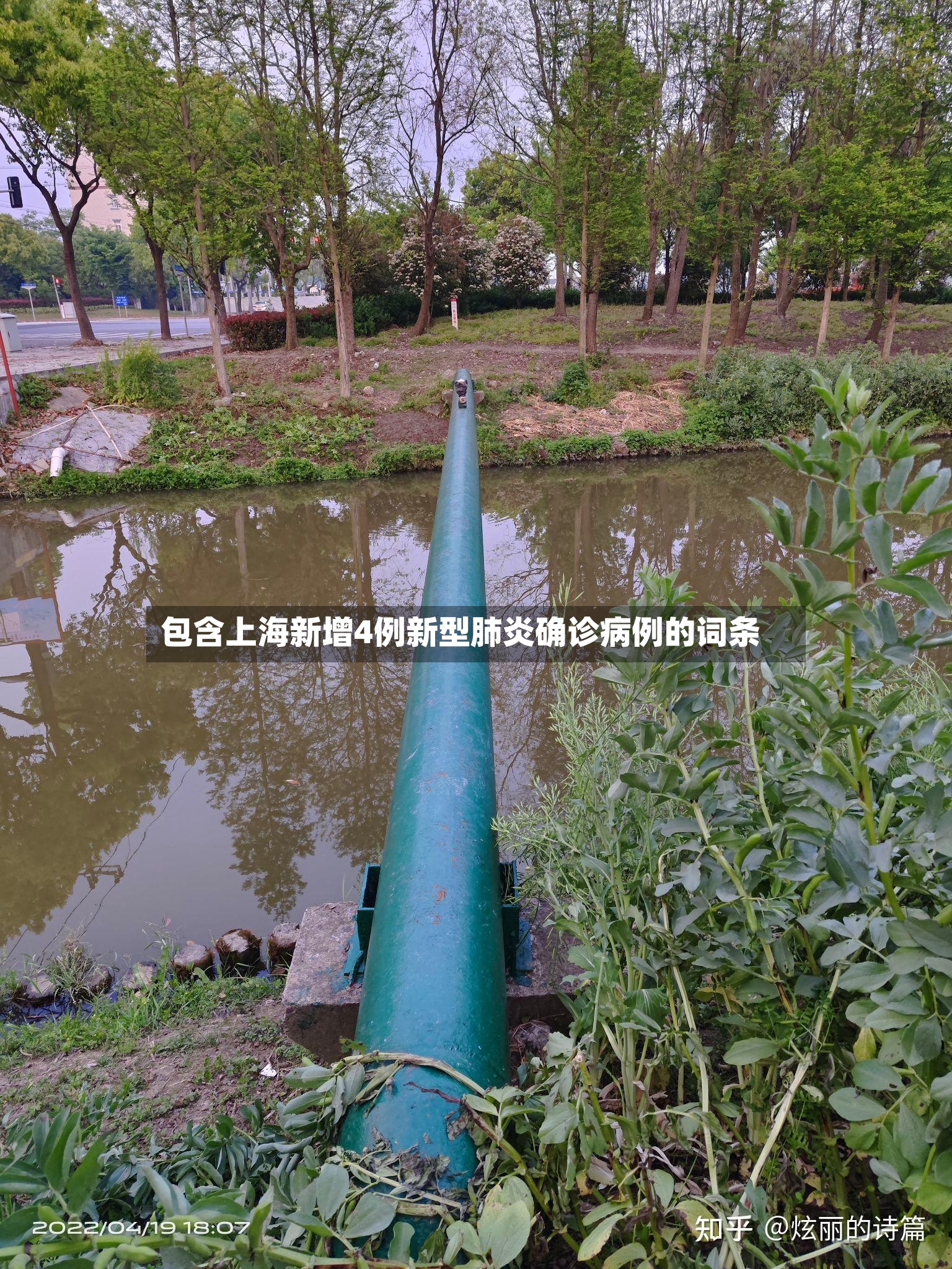 包含上海新增4例新型肺炎确诊病例的词条