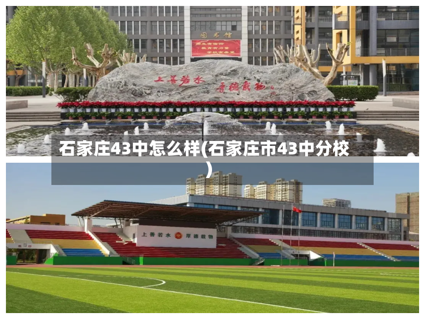 石家庄43中怎么样(石家庄市43中分校)-第3张图片