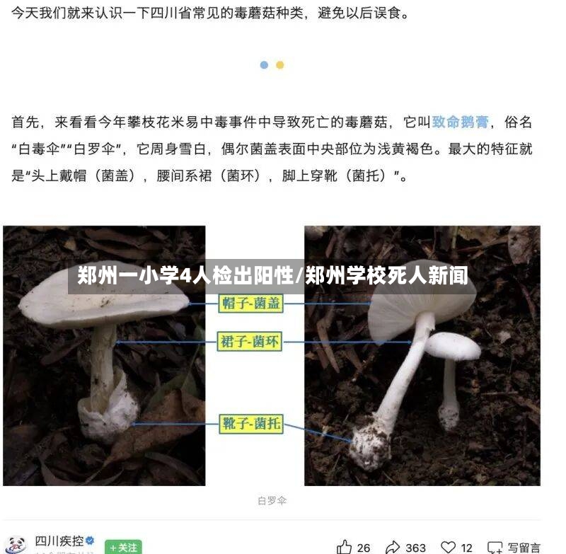 郑州一小学4人检出阳性/郑州学校死人新闻