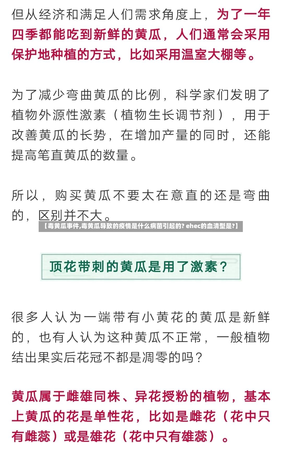 【毒黄瓜事件,毒黄瓜导致的疫情是什么病菌引起的? ehec的血清型是?】