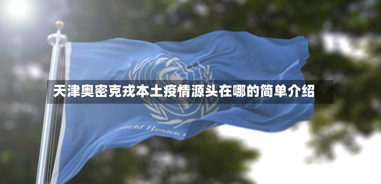 天津奥密克戎本土疫情源头在哪的简单介绍-第3张图片