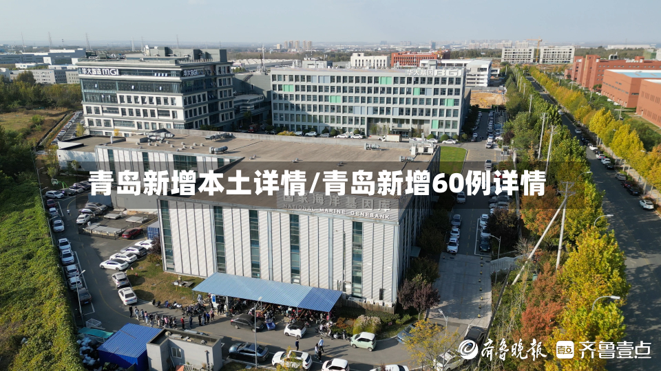 青岛新增本土详情/青岛新增60例详情-第2张图片