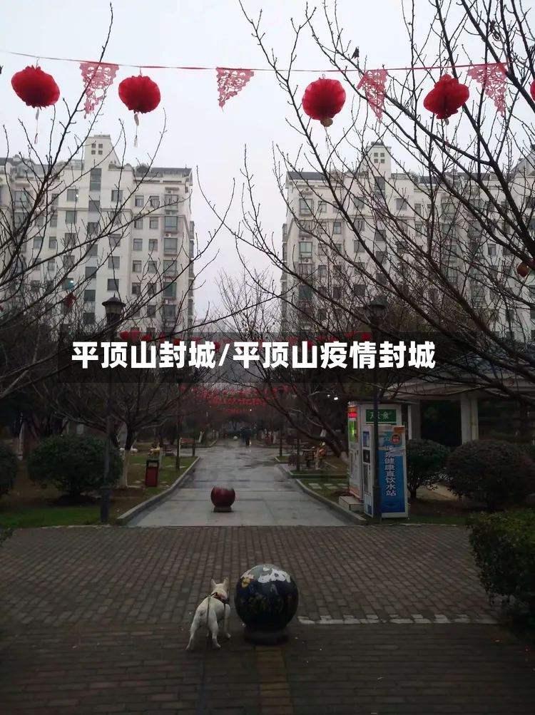 平顶山封城/平顶山疫情封城-第2张图片