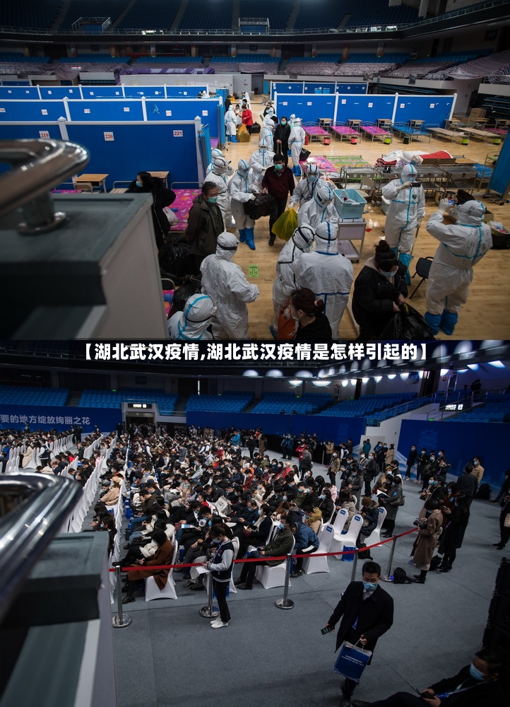 【湖北武汉疫情,湖北武汉疫情是怎样引起的】