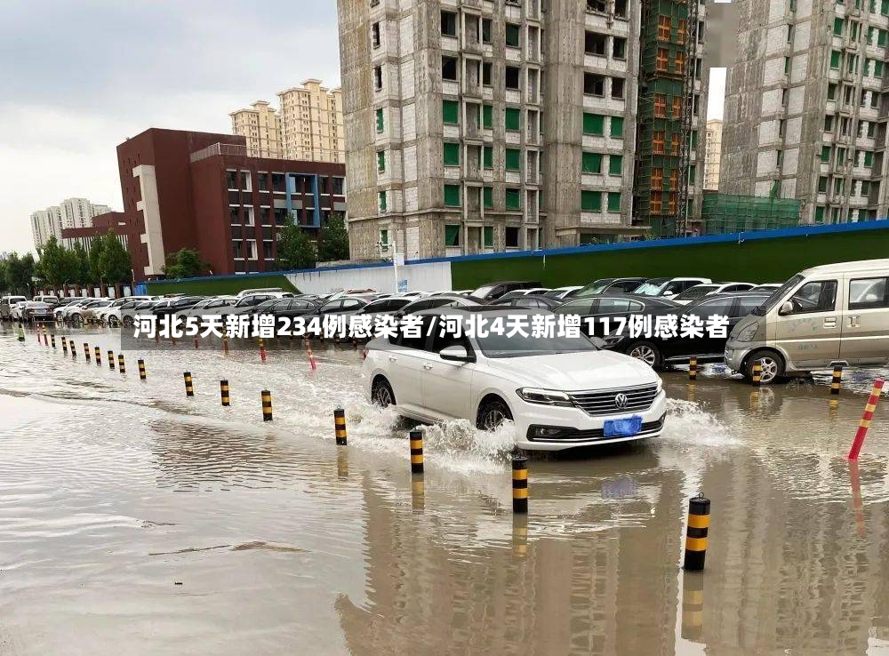 河北5天新增234例感染者/河北4天新增117例感染者-第2张图片