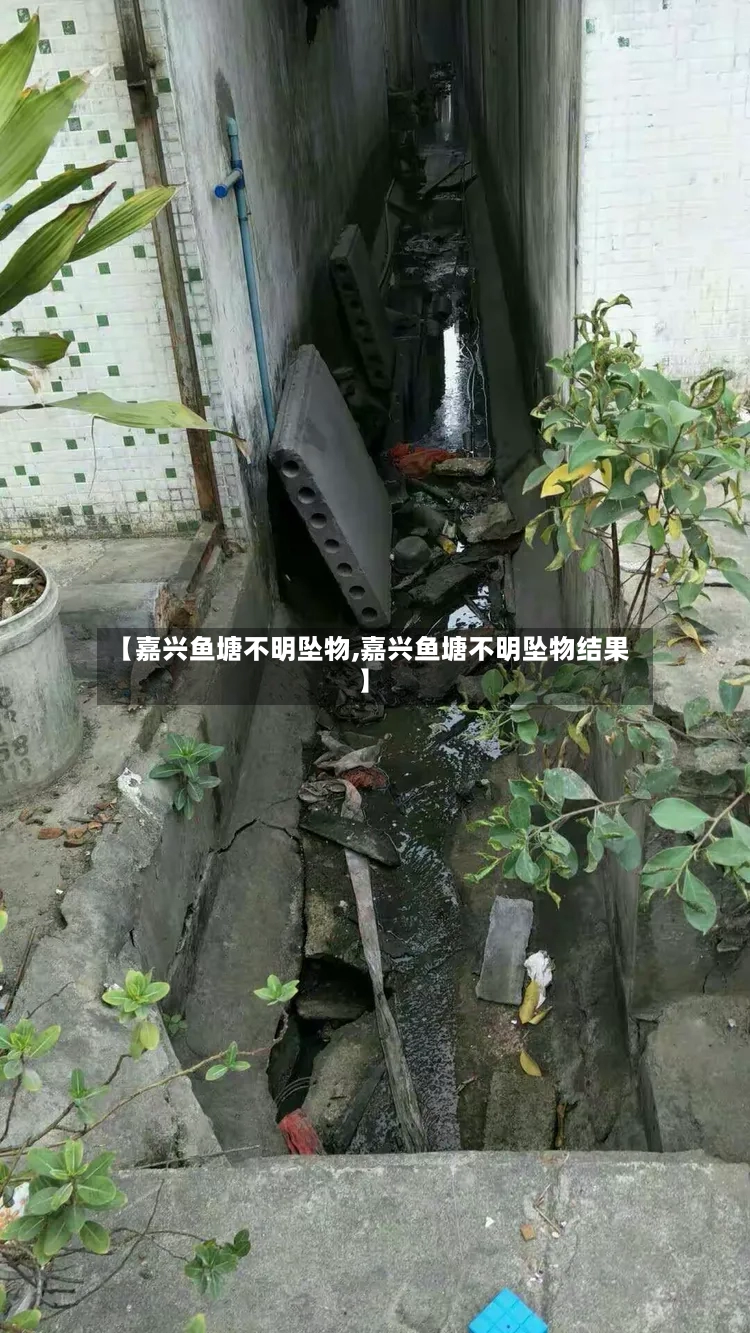 【嘉兴鱼塘不明坠物,嘉兴鱼塘不明坠物结果】-第2张图片