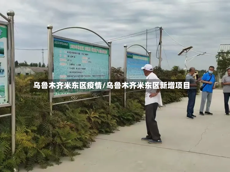 乌鲁木齐米东区疫情/乌鲁木齐米东区新增项目-第2张图片