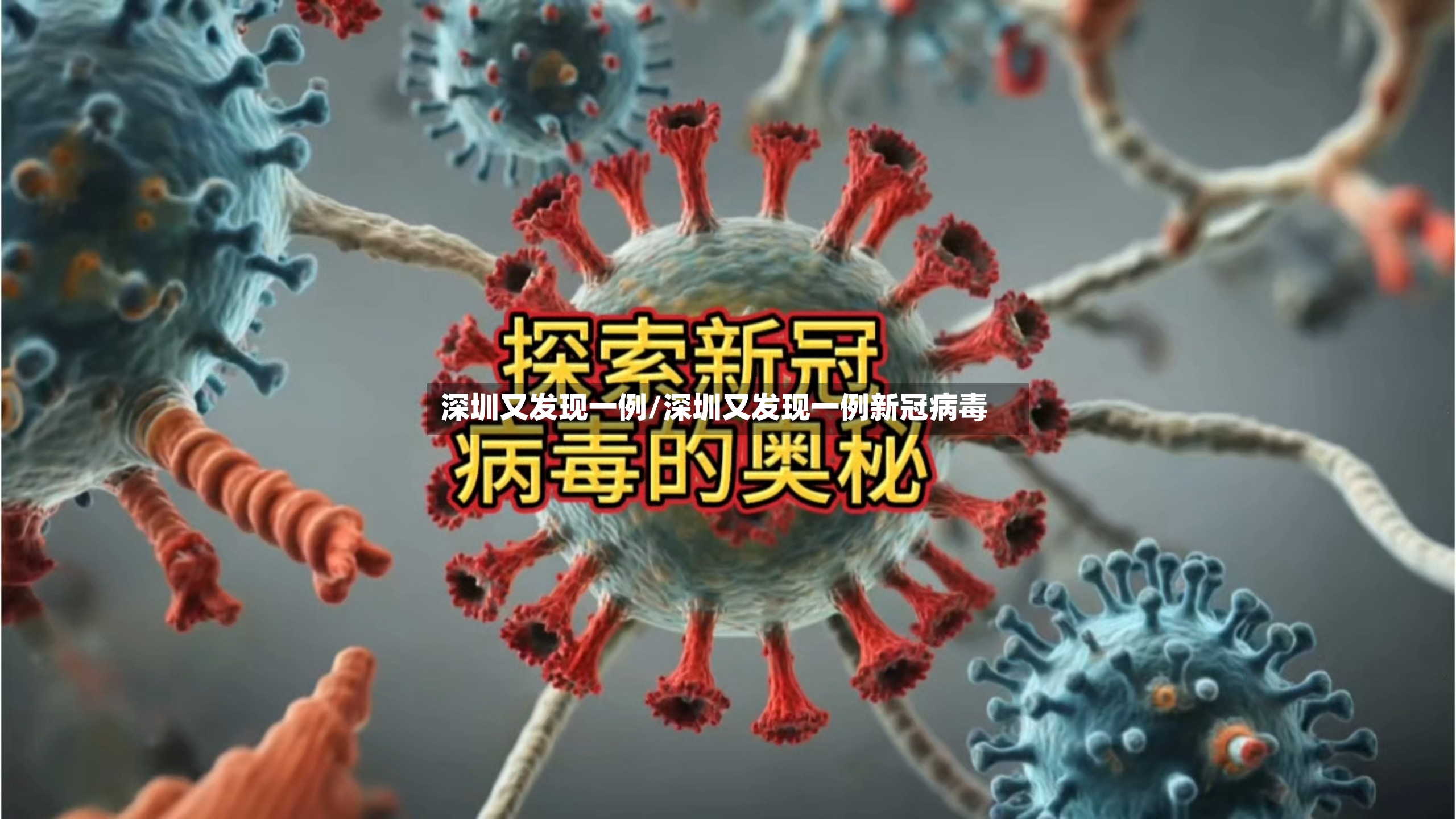 深圳又发现一例/深圳又发现一例新冠病毒