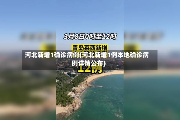 河北新增1确诊病例(河北新增1例本地确诊病例详情公布)-第2张图片