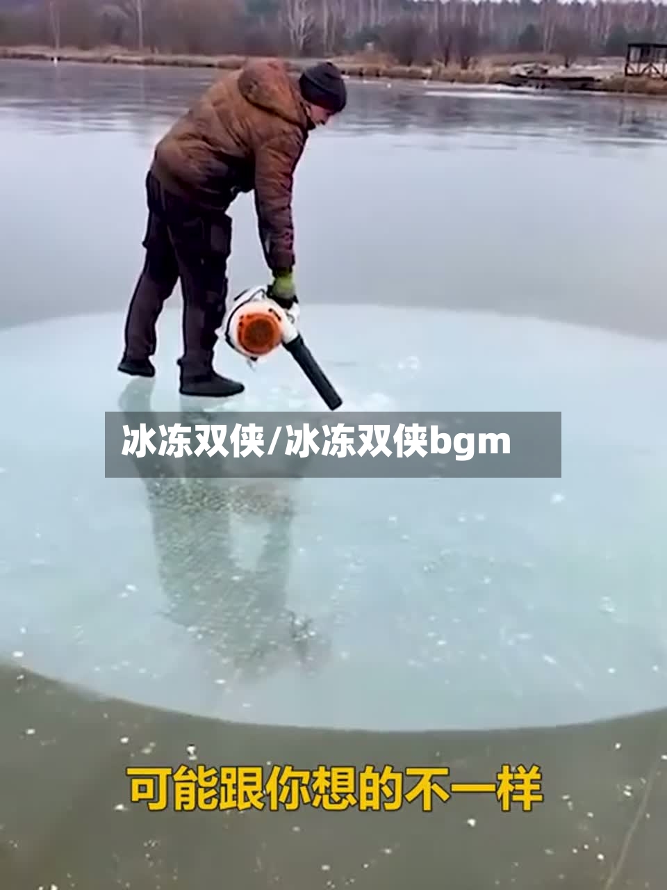 冰冻双侠/冰冻双侠bgm-第3张图片