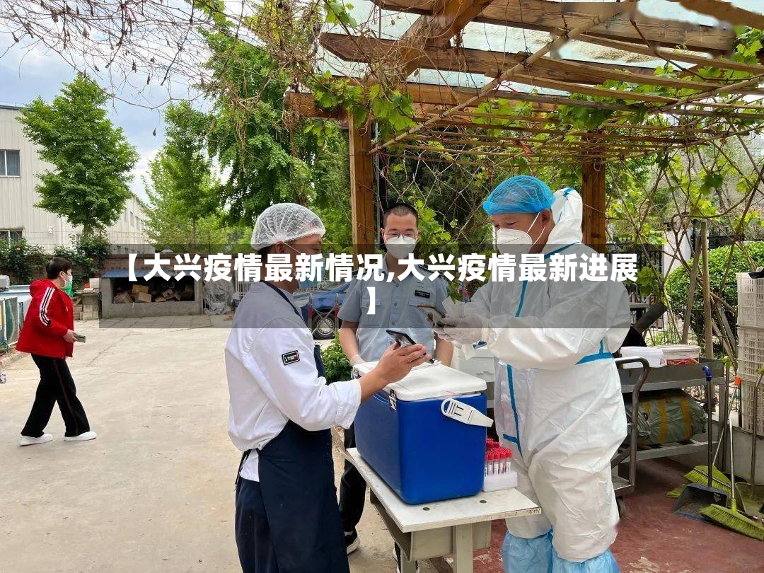 【大兴疫情最新情况,大兴疫情最新进展】-第2张图片