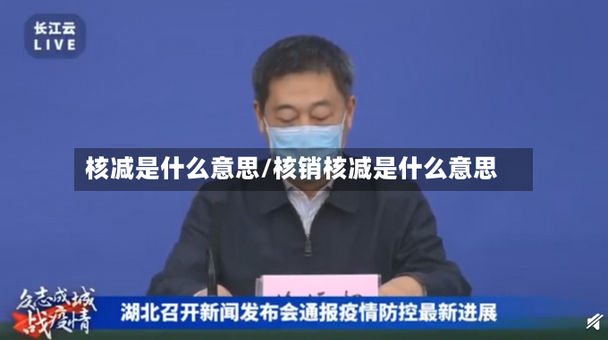 核减是什么意思/核销核减是什么意思