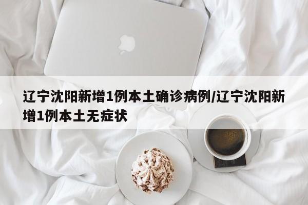 辽宁沈阳新增1例本土确诊病例/辽宁沈阳新增1例本土无症状
