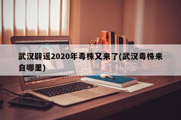 武汉辟谣2020年毒株又来了(武汉毒株来自哪里)